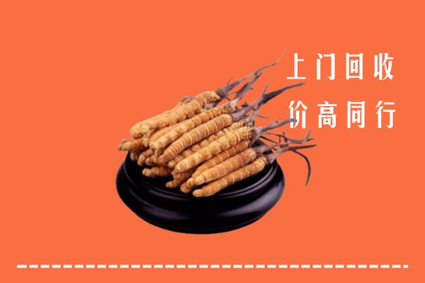 高价求购：宿迁市泗阳县回收散虫草