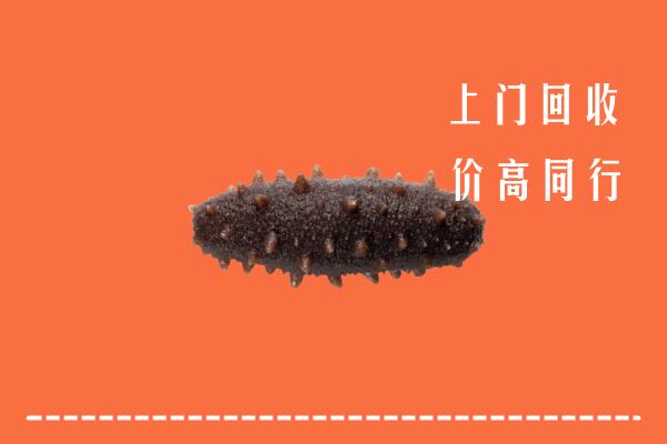 高价求购：宿迁市泗阳县回收海参